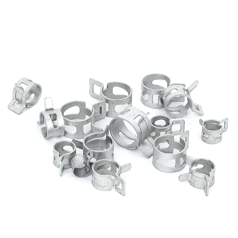 MN MN MANGULA DE LA CANACIÓN DE LA BANDA DE SPRIMA MN